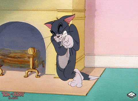 Tom And Jerry GIF by Boomerang Official